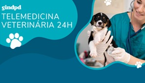 Telemedicina veterinria 24h