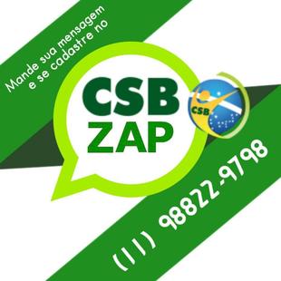 CSB Zap