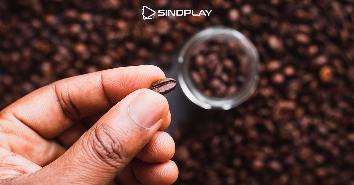 Código do café: Sindplay lança curso sobre a ciência da cafeína