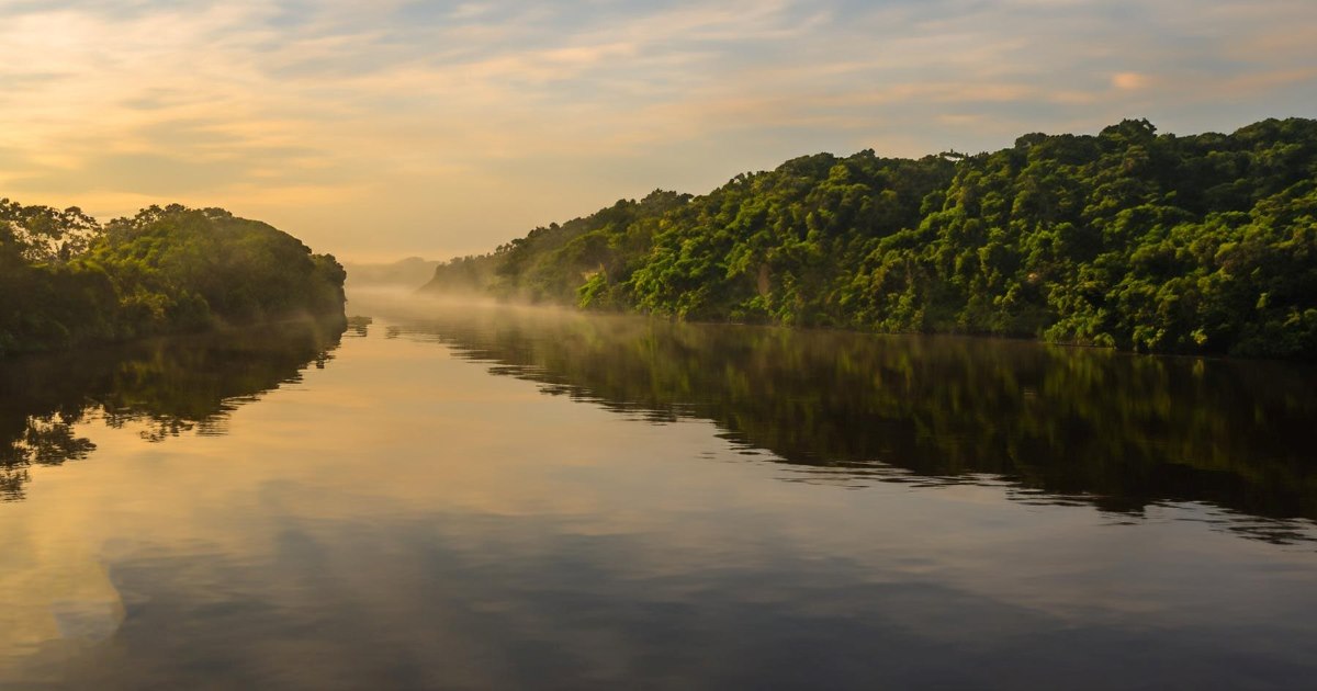 A Amazônia, já reconhecida por sua vastidão territorial e biodiversidade, abriga também o maior reservatório de água doce do mundo.