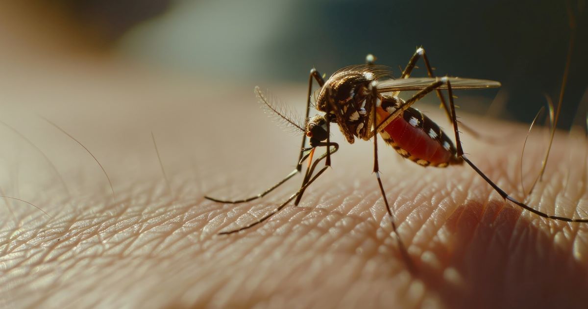 O espaço, considerado o maior do mundo, foi criado para atender à crescente necessidade de soluções contra a dengue no Brasil.