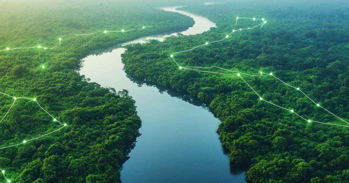 A Colômbia aprovou um projeto de conectividade para instalar uma rede de fibra óptica que cortará os departamentos amazônicos de Putumayo e Amazonas.