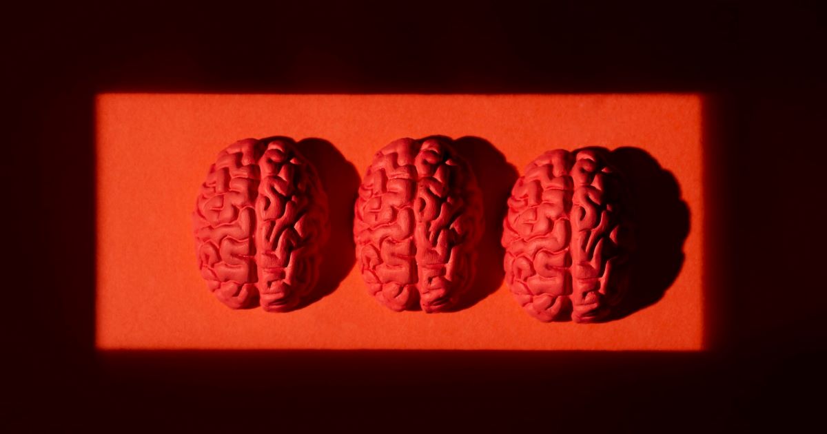 Mantidos vivos em fluidos ricos em nutrientes, esses pequenos aglomerados de células cerebrais podem, no futuro, substituir os tradicionais chips.