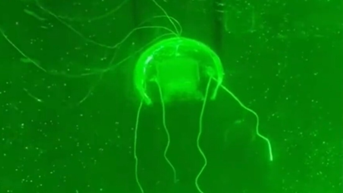 A China apresentou um robô água-viva altamente realista que une biologia e tecnologia para revolucionar a exploração submarina