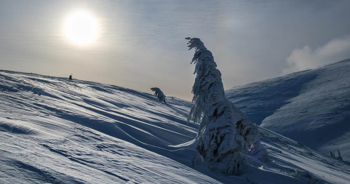 Os pesquisadores alertam que um eventual colapso não provocaria apenas invernos muito mais rigorosos na Europa.