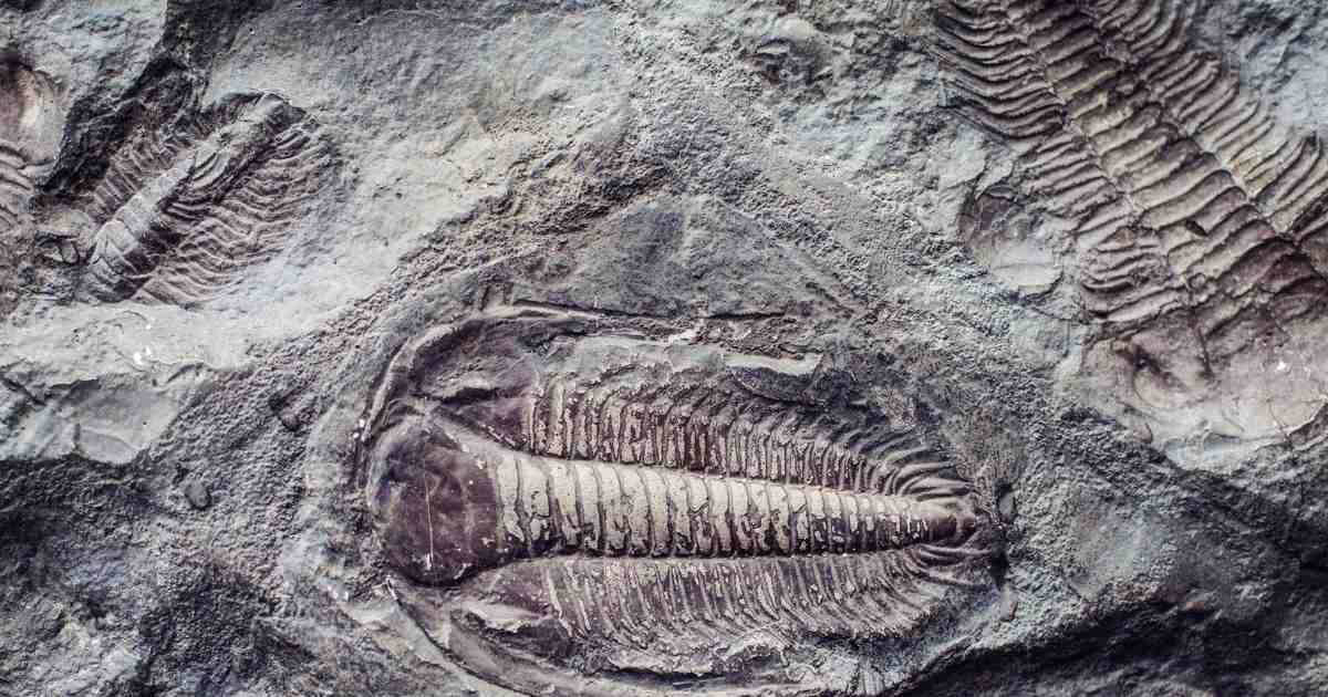 A IA detectou indícios de vida em rochas com até 3,3 bilhões de anos, superando em centenas de milhões de anos o registro fóssil mais antigo.