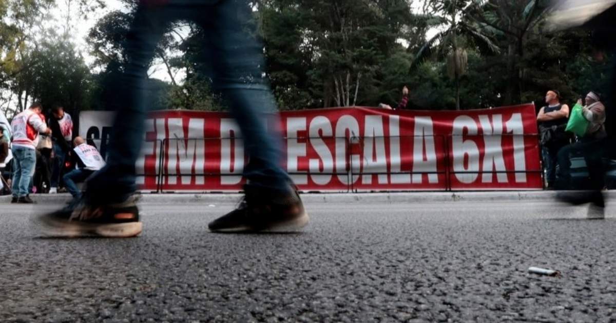 pec-pl-qual-viavel-fim-a-escala-6-x-1