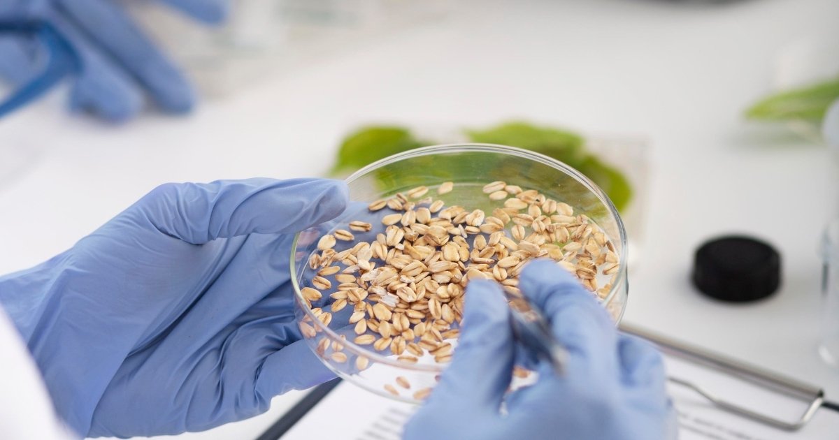 Estudo impulsiona segurança alimentar e pede modernização tecnológica