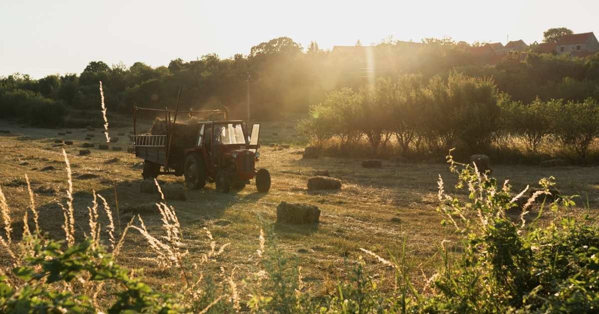 fazendeiro-recusa-oferta-milionaria-manter-agricultura
