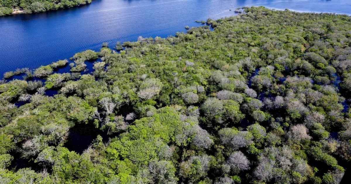 tecnologia-ouro-ilegal-proteger-amazonia