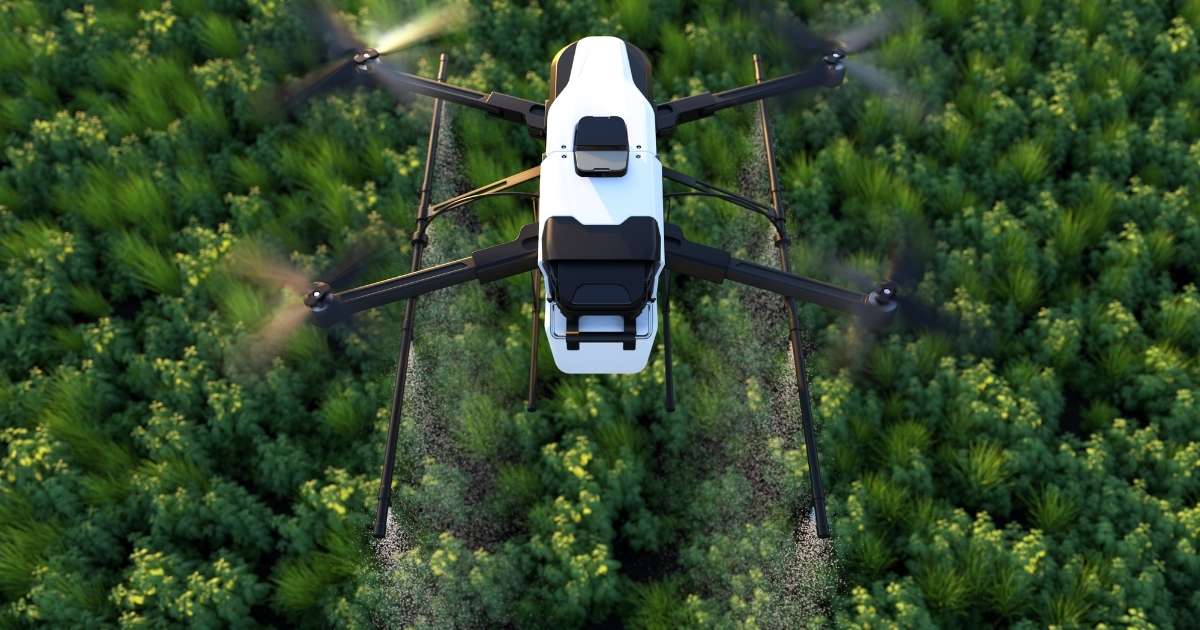 drones-reflorestam-regioes-chegar